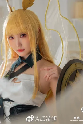 FGO Valkyrie Slud@guaxijiang(9 사진)