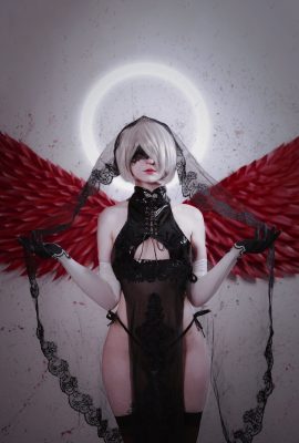 에로다이콘 – 2B