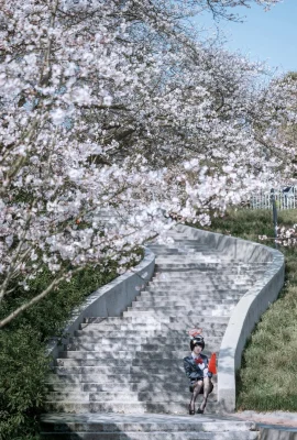 벡터 생선 툰 투어 가이드